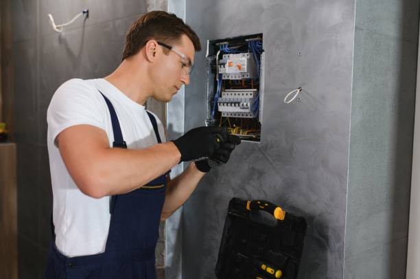 Best Electrical System Inspection  in La Homa, TX