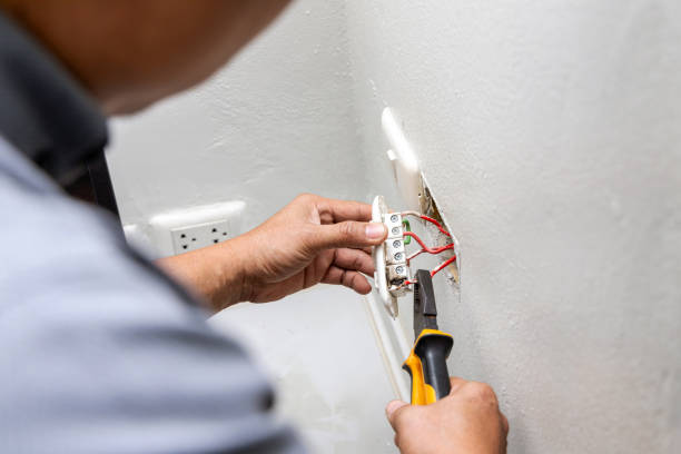 Best Home Electrical Repair  in La Homa, TX